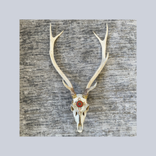 Load image into Gallery viewer, ‘Sweat of the Sun’ | Adorned Antlers | Lisa Hoskins