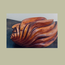 Load image into Gallery viewer, ‘My Shell’ - Geordie Williamson