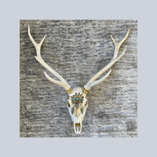 Load image into Gallery viewer, ‘Egyptian Dream’ | Adorned Antlers | Lisa Hoskins
