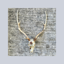 Load image into Gallery viewer, ‘Mariposa’s Delight’ | Adorned Antlers | Lisa Hoskins