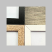 Load image into Gallery viewer, 'Tui Flight Path' | Framed A3 Print | Limited & Signed | HDNZ