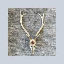 Load image into Gallery viewer, ‘Sweat of the Sun’ | Adorned Antlers | Lisa Hoskins
