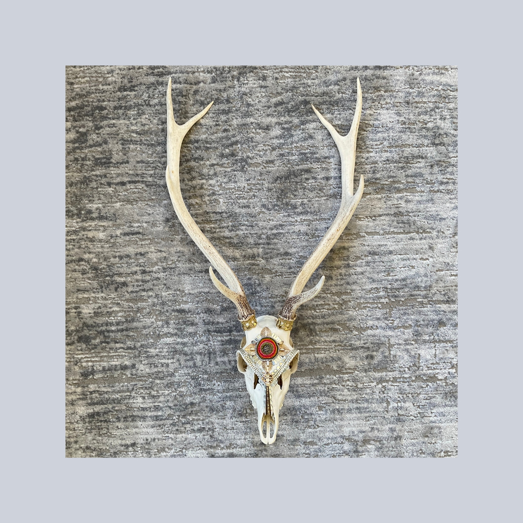 ‘Sweat of the Sun’ | Adorned Antlers | Lisa Hoskins