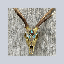 Load image into Gallery viewer, ‘Persian Turquoise’ | Adorned Antlers | Lisa Hoskins
