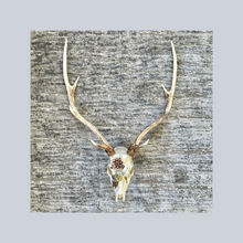 Load image into Gallery viewer, ‘Mariposa’s Delight’ | Adorned Antlers | Lisa Hoskins
