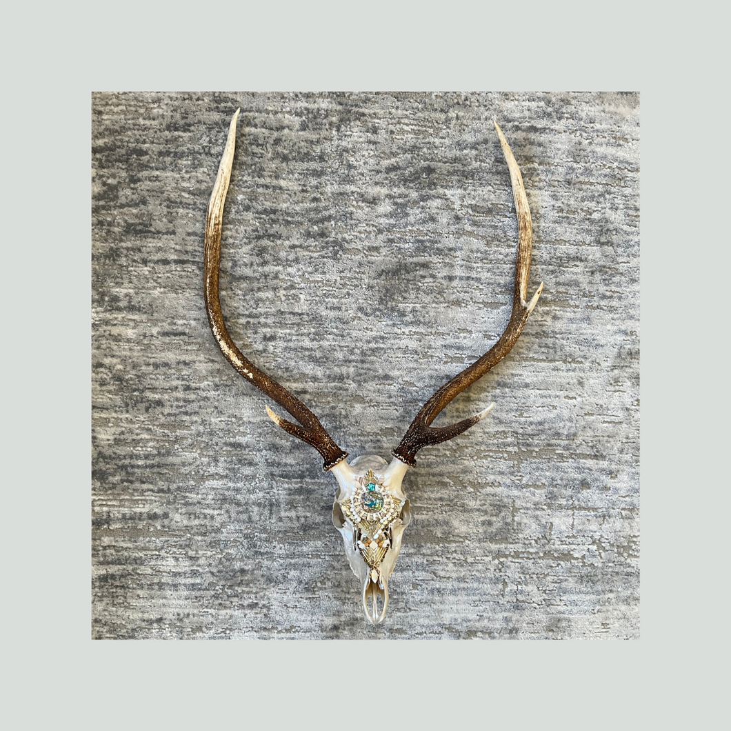 ‘Waewae Pēpi’ | Adorned Antlers | Lisa Hoskins
